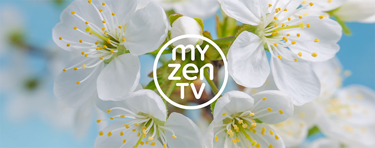 myZen TV 4K