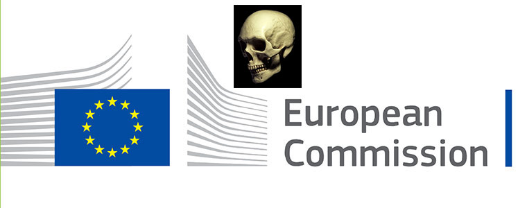 Piractwo Komisja Europejska 760px
