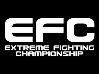 Gala Extreme Fighting Championship 104 w Fightklubie