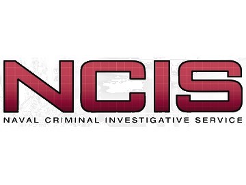 Puls 2: „Agenci NCIS” najlepszym serialem na świecie