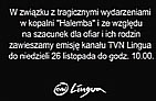 TVN-Lingua_bez-pask_sl.jpg