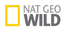 Nat Geo Wild HD po polsku z 24,5W!