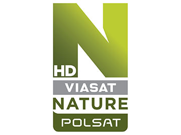 Yellowstone w lutym w Polsat Viasat Nature