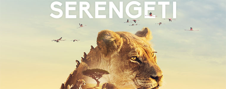 Serengeti BBC Earth