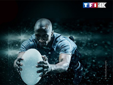 Puchar Świata w Rugby 2019 Fransat TF1 4K