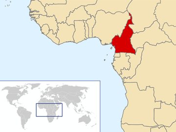 Telewizja satelitarna dla wiosek w Kamerunie