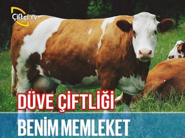 Çiftçi TV HD rozszerza się na Europę w FTA