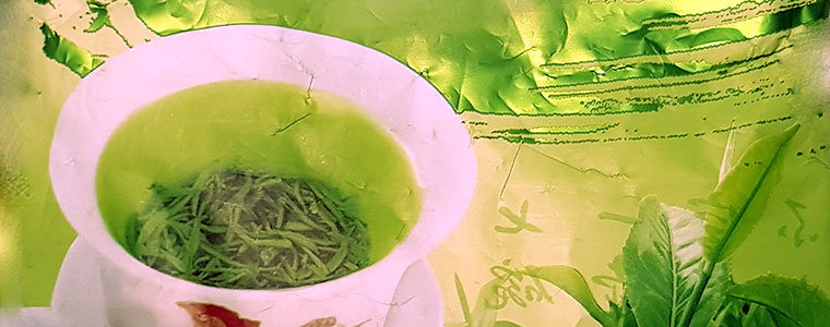 Green tea herbata zielona działanie herbaty 2021 760px.jpg