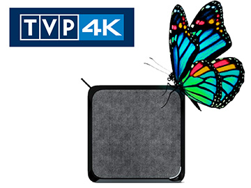 TVP 4K także na UPC TV 4K BOX