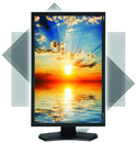 MultiSync PA241W profesjonalny monitor graficzny