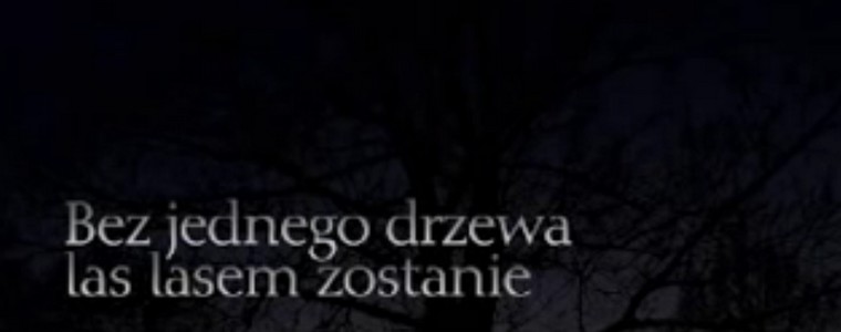 TVP3 Katowice TVP 3 Katowice Trójka Katowice „Bez jednego drzewa las lasem zostanie”
